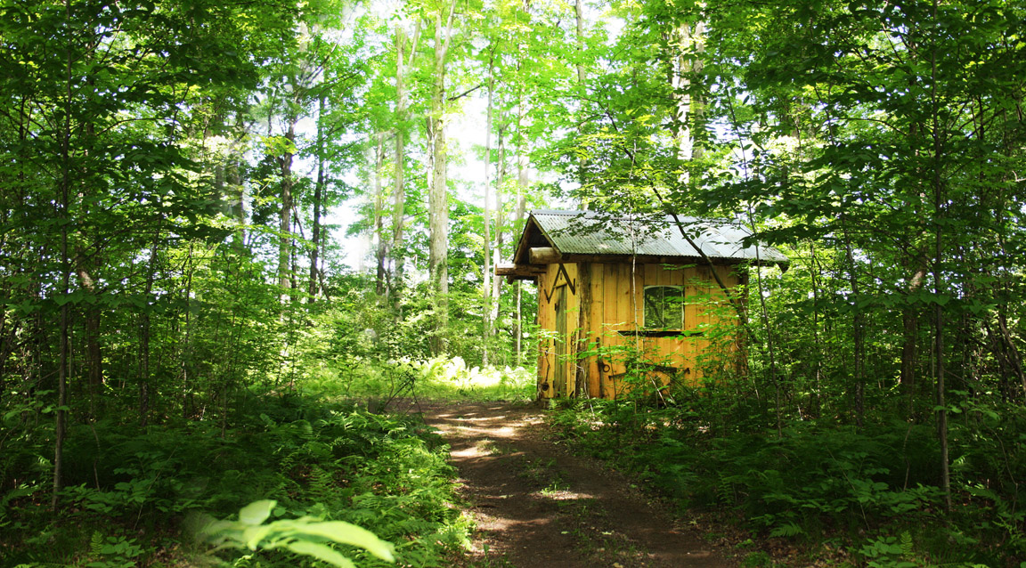 Pioneer Trail Adventure Game